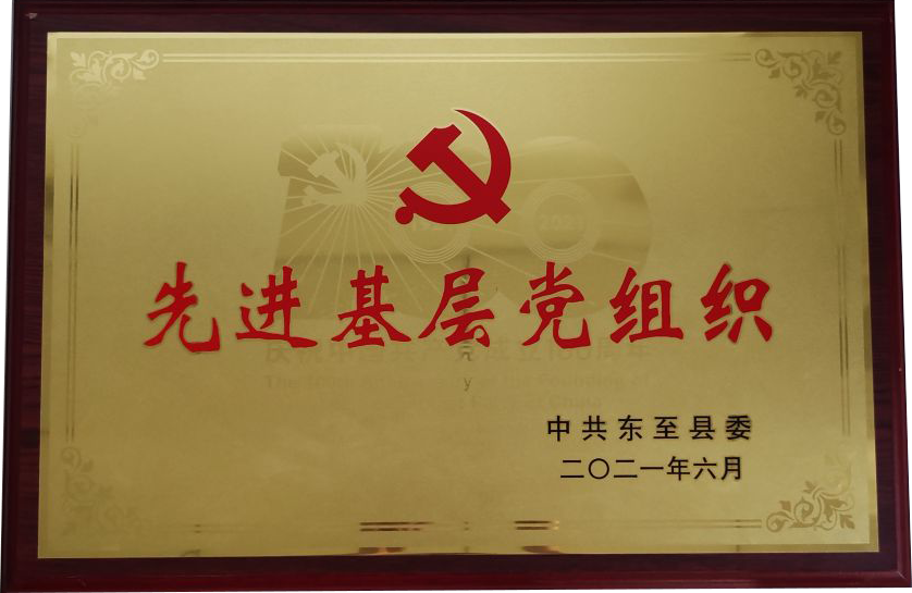 先进基层党组织
