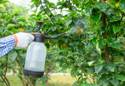欧盟农药新规：植物保护产品中“安全剂”与“增效剂”将迈入规范管理新时代