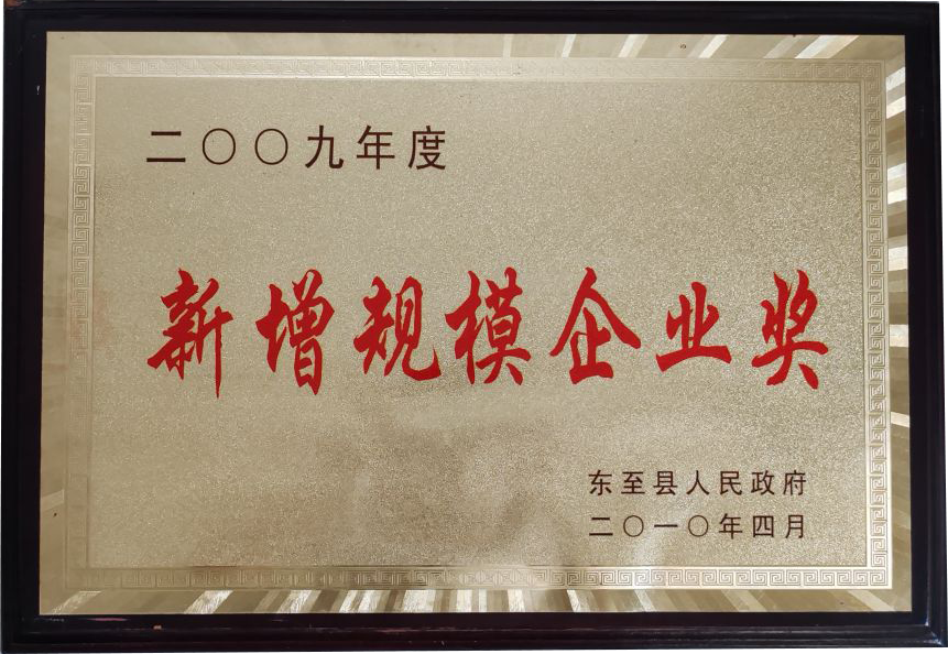 新增规模企业奖